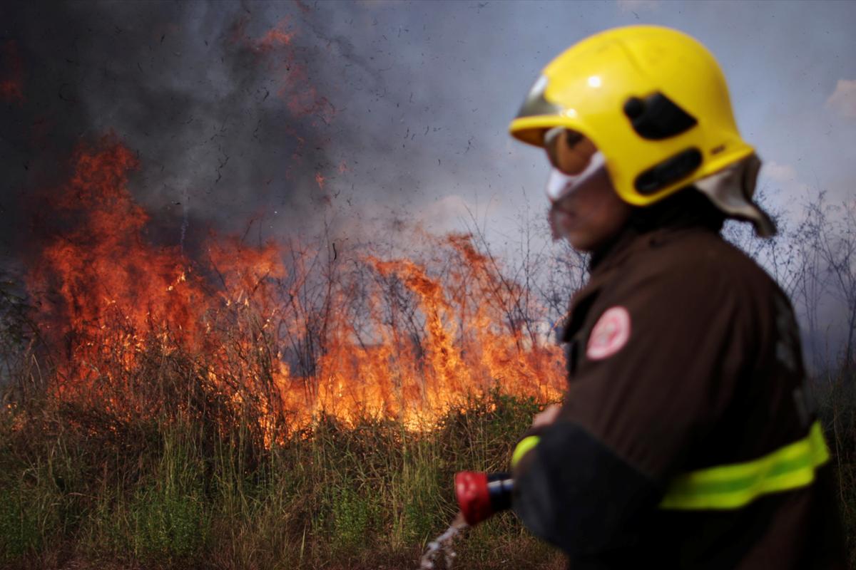 Brazil fires threaten world's largest wetland