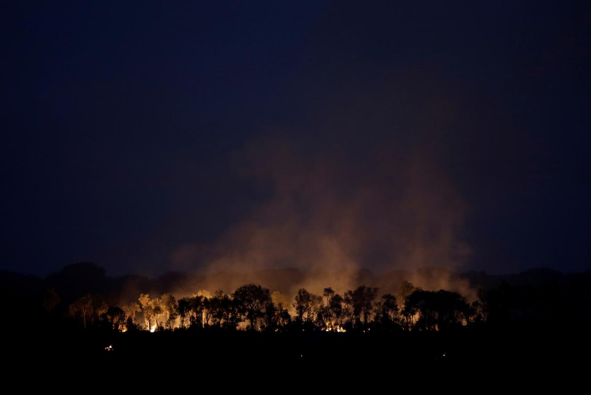 Exclusive: Brazil Amazon fires likely worst in 10 years, August data incomplete, government researcher says - Reuters