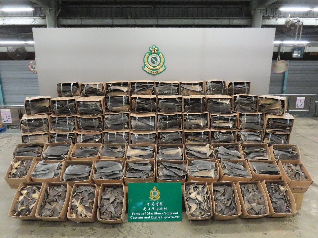 Hong Kong customs seize 38,500 endangered shark fins