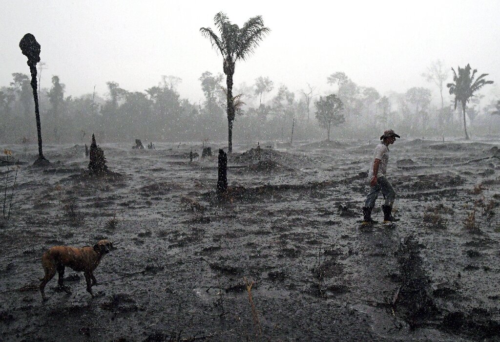 Brazil's Bolsonaro under pressure to protect Amazon