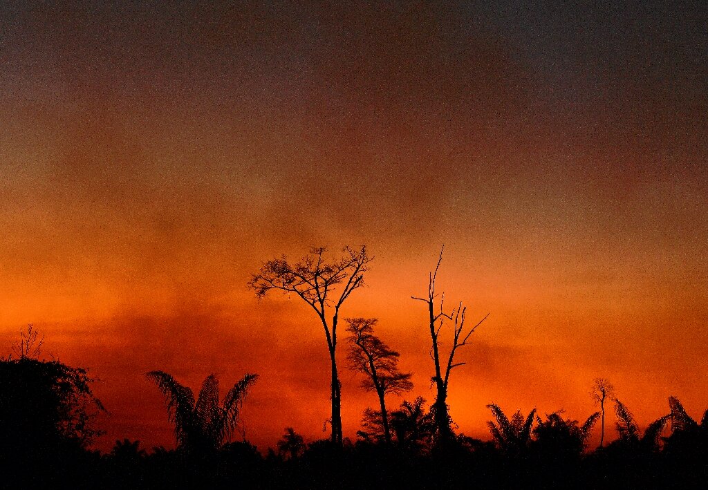 More than 1,600 square kilometers of Brazilian Amazon deforested in July