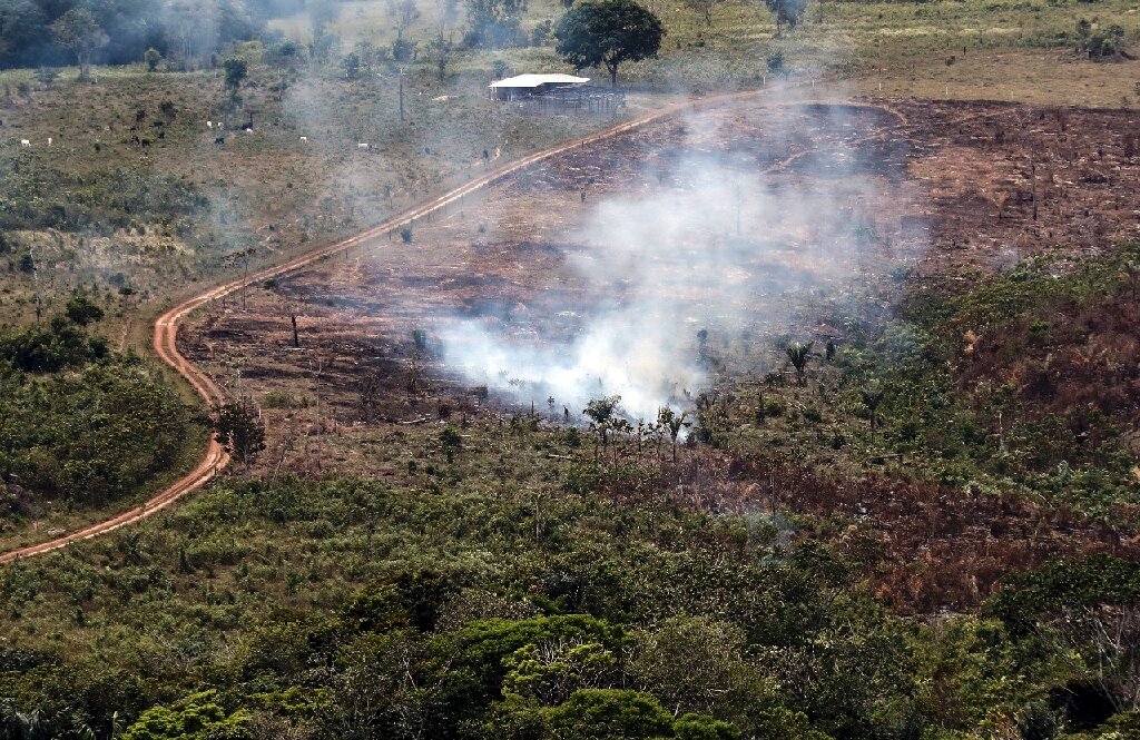 Colombia lost forest area the size of Sao Paulo in 2019: report