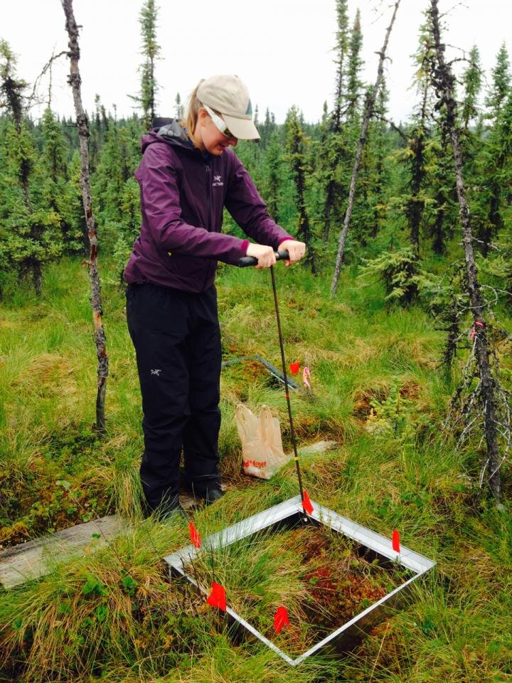 Alaska is getting wetter. That's bad news for permafrost and the climate