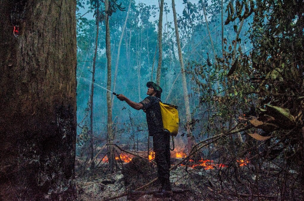 Fires spike in Brazil's Amazon, scientists say