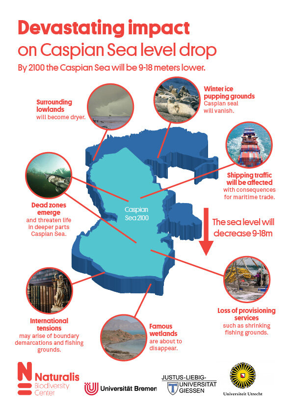 Caspian crisis: Sinking sea levels threaten biodiversity, economy and regional stability