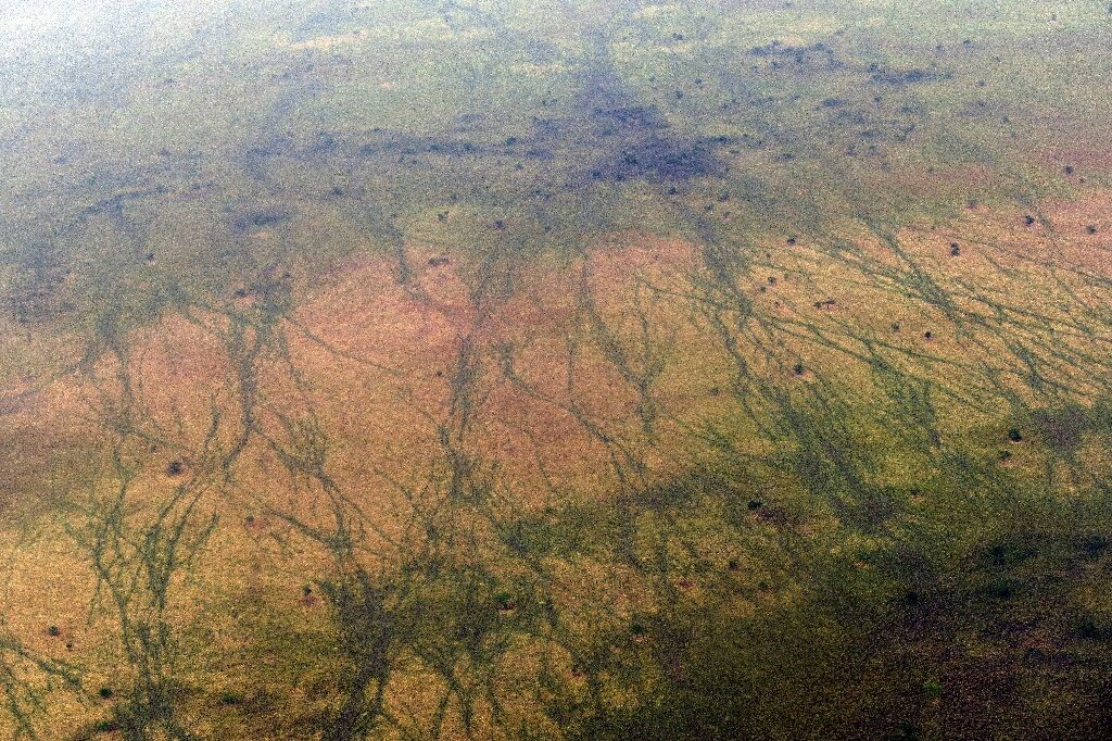 South Sudan: an unexplored Eden of biodiversity