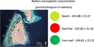 Maldives records highest level of micro plastic pollution on the planet