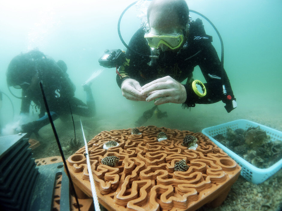 Novel 3-D printed 'reef tiles' to repopulate coral communities