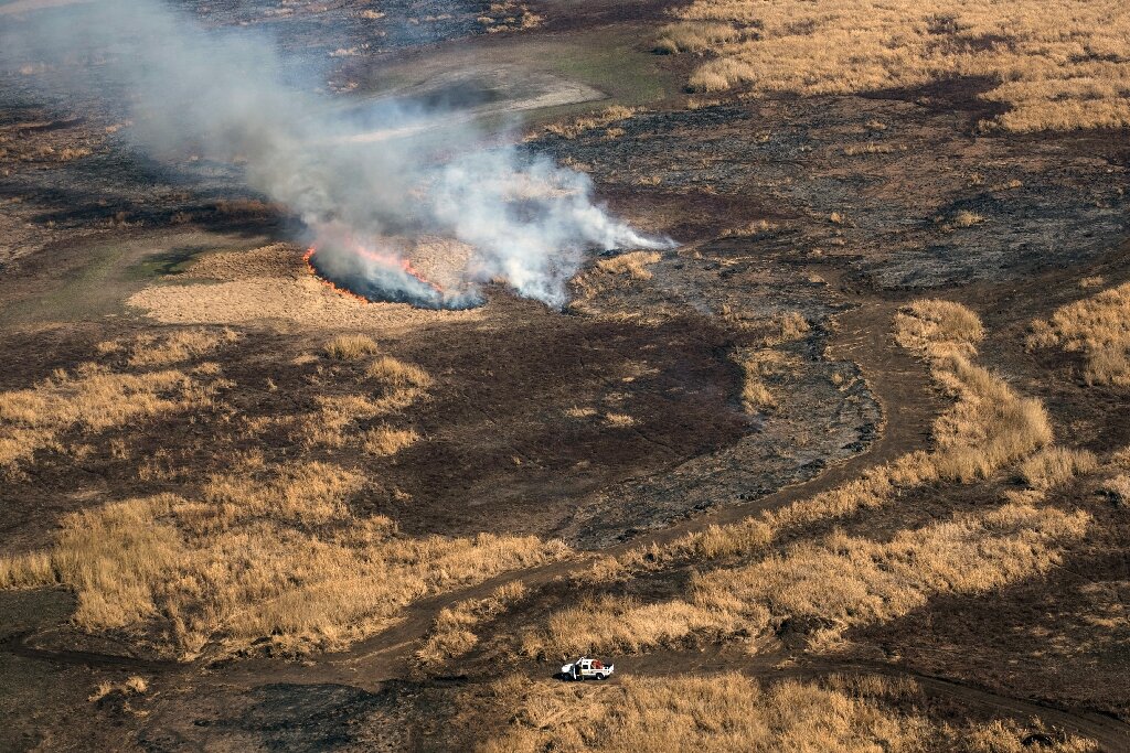 Argentine marshland threatened by worst fires in decades