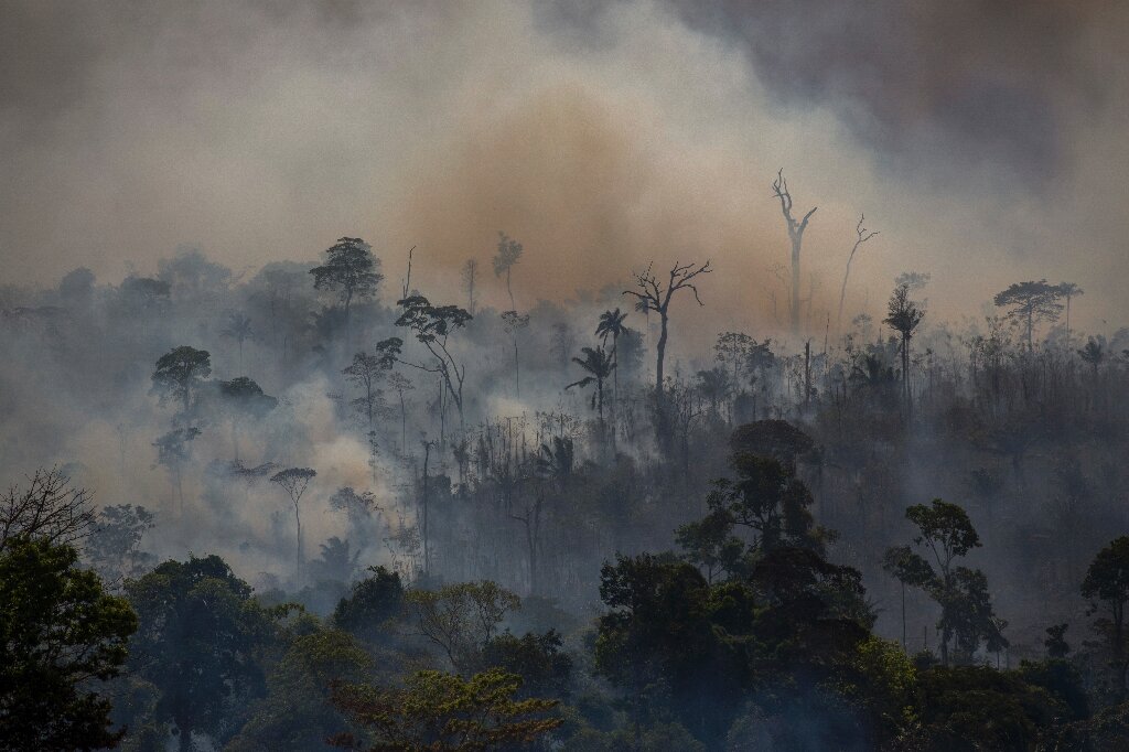 Amazon deforestation increases 25 percent in Brazil