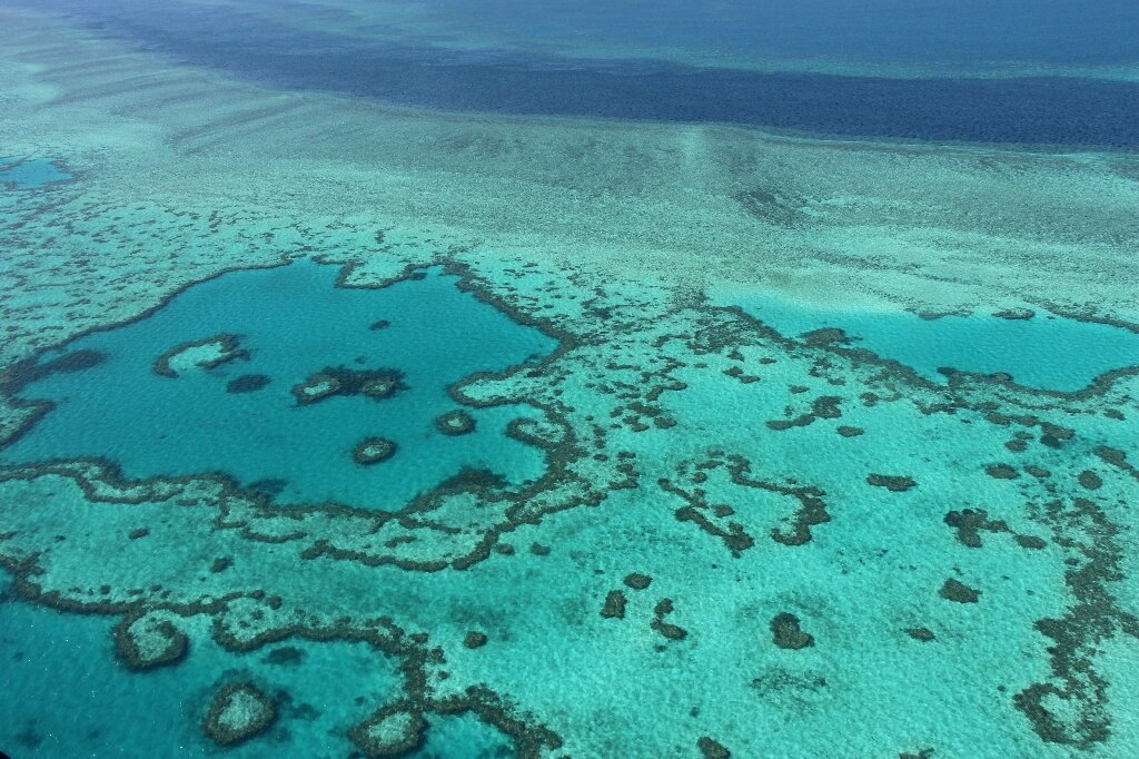 Barrier Reef outlook poor despite coral 'recovery': scientists