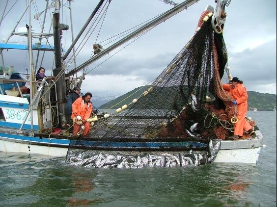 Can fisheries benefit from biodiversity and conserve it too?