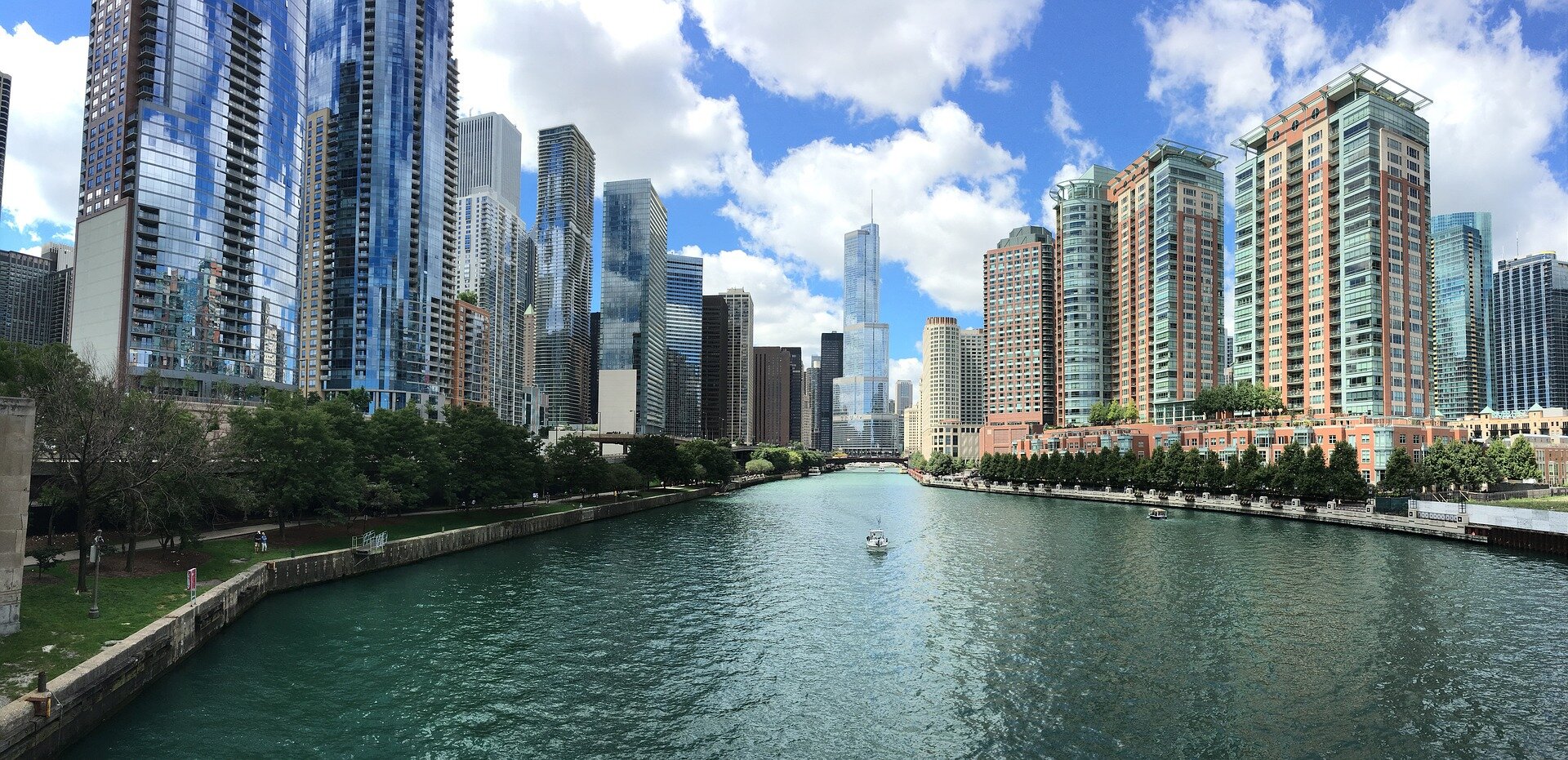 Nearly 60 different types of fish found in Chicago waterways, study shows