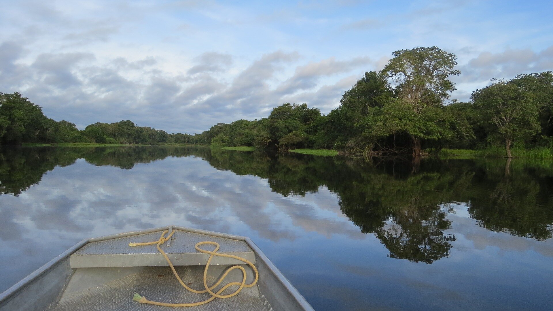 Brazilian Amazon deforestation hits new record in May