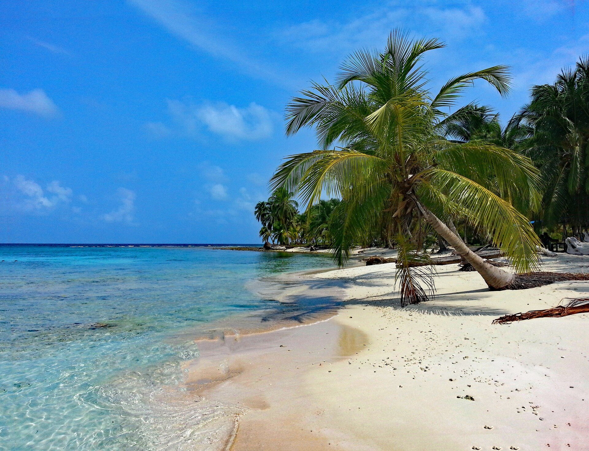 New shrimp species discovered in Panama's Coiba National Park