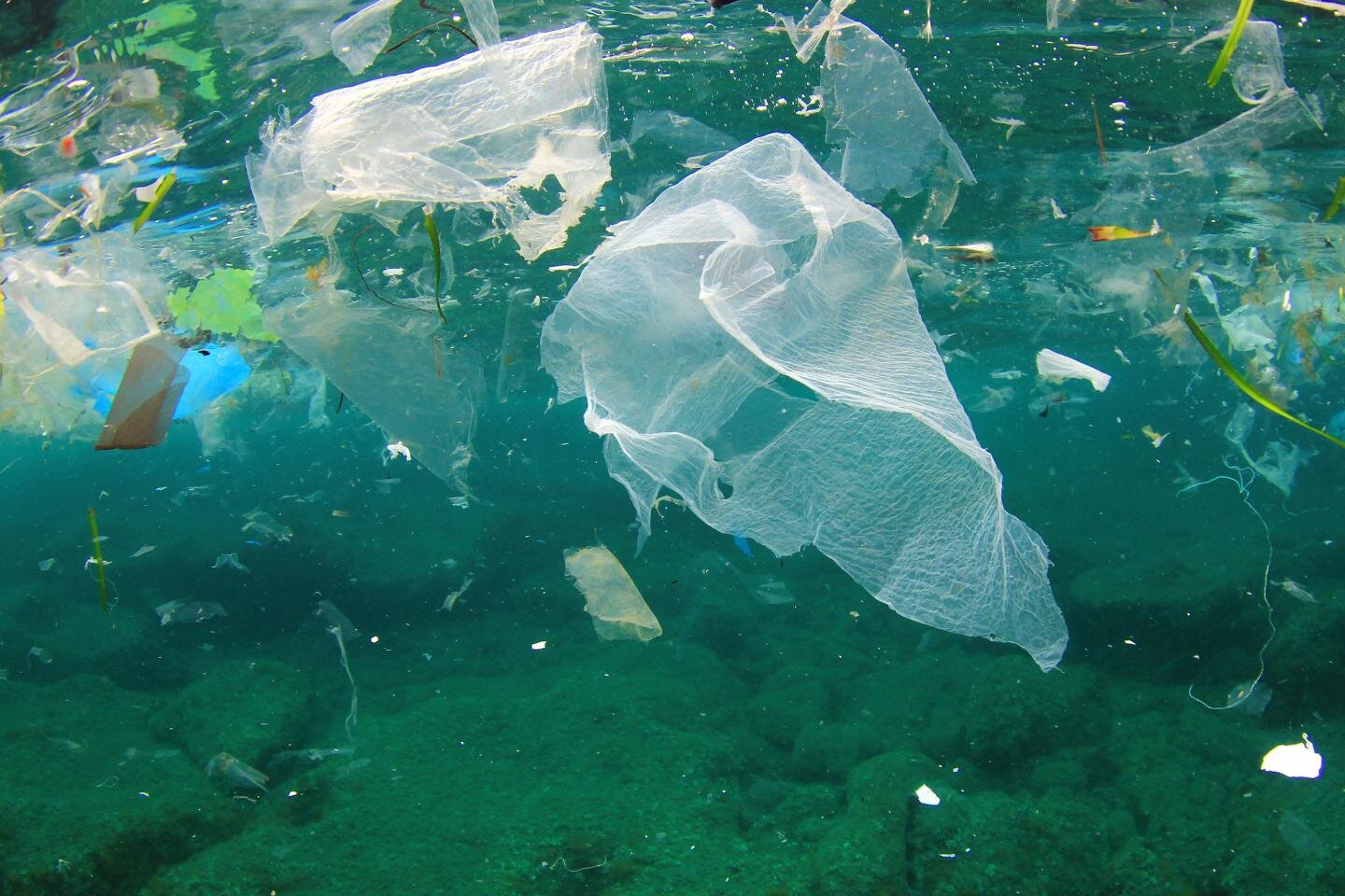Study finds plastic recycling from Europe being dumped in Asian waters