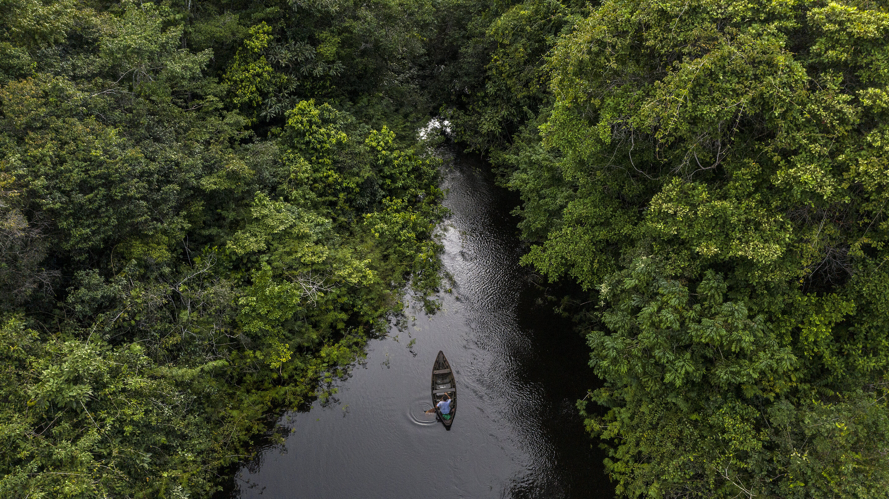 Amazon study shows big conservation gains possible for imperilled freshwater ecosystems