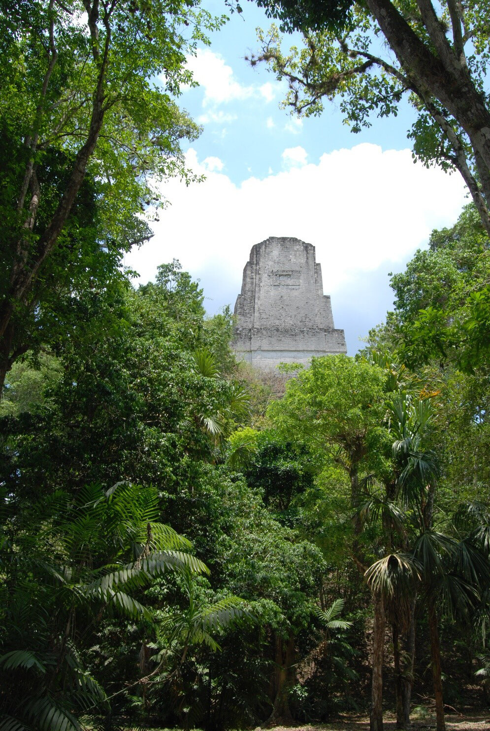 Ancient Maya reservoirs contained toxic pollution: study