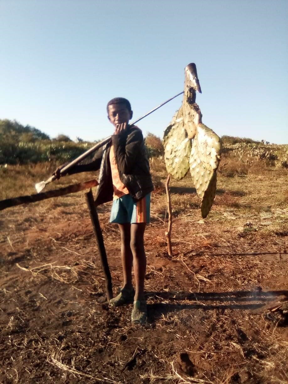 Indigenous knowledge could reveal ways to weather climate change on islands