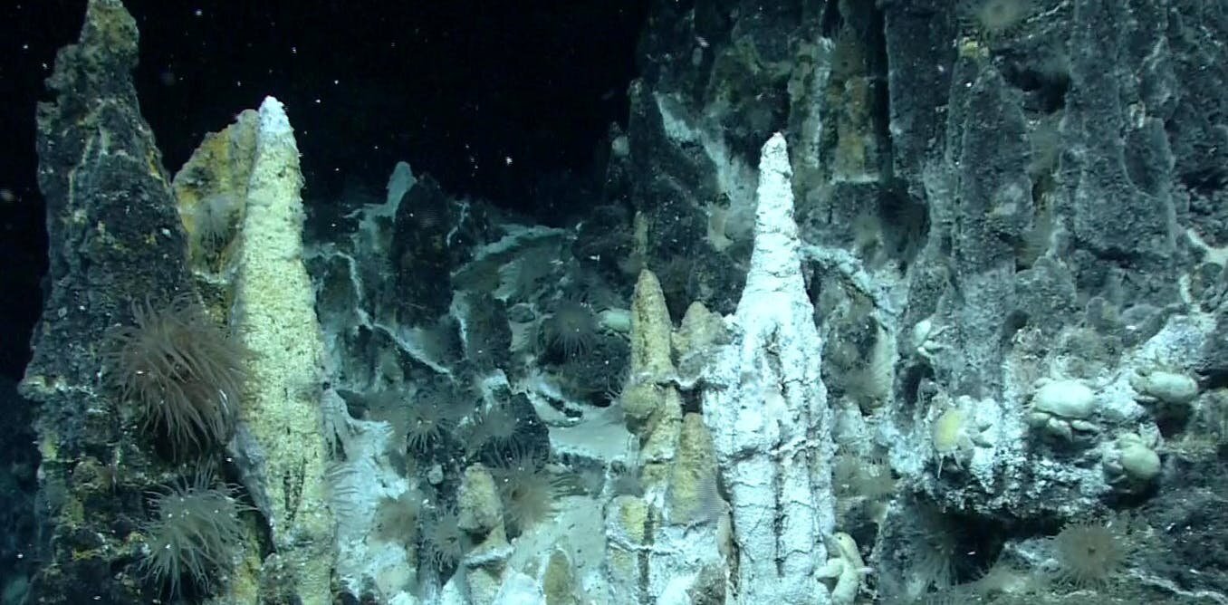 Deep-sea mining may wipe out species we have only just discovered