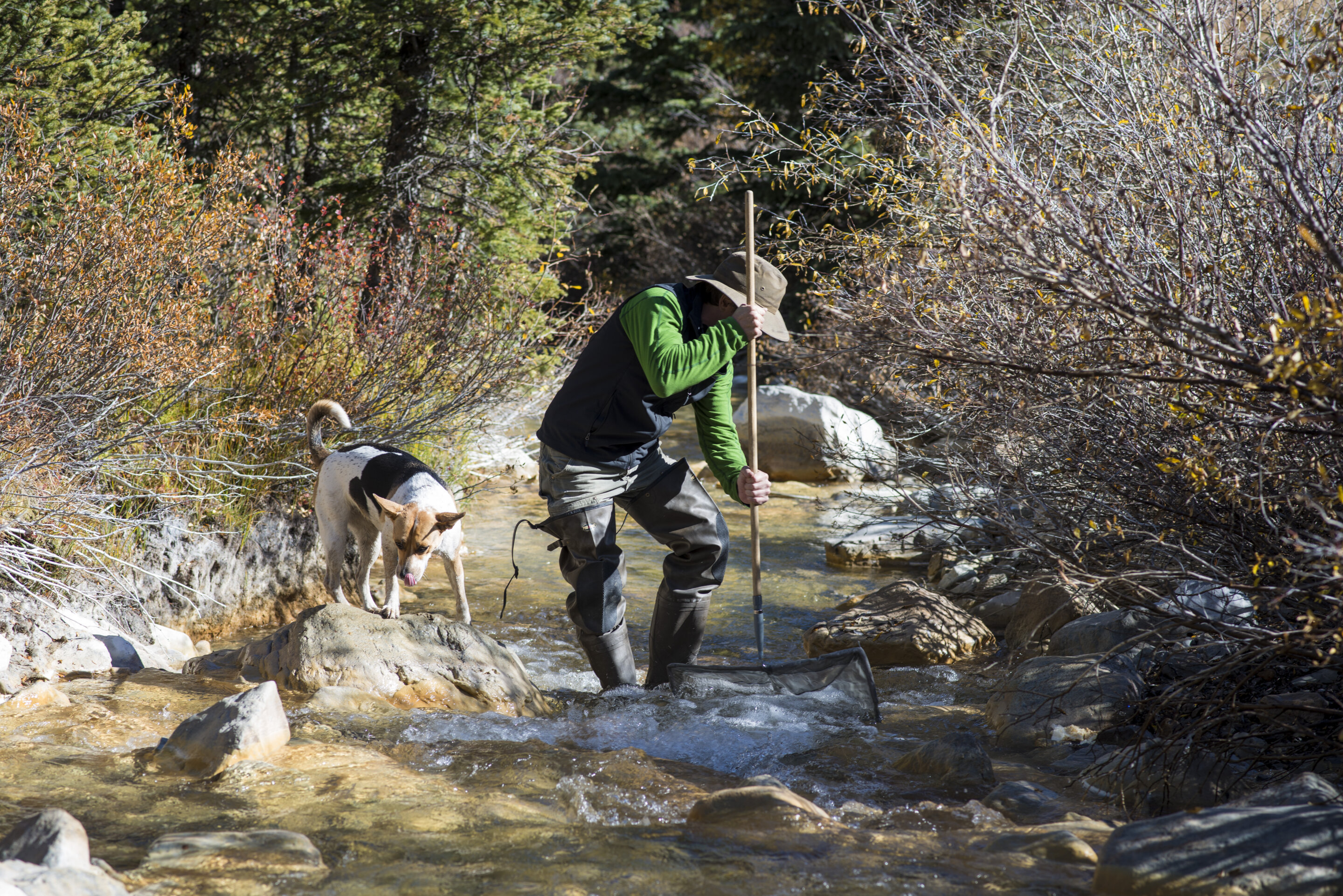 Rare earth elements and old mines spell trouble for Western U.S. water supplies