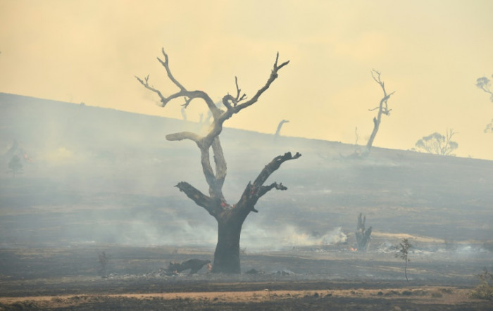 Rains 'breaking the back' of Australian bushfire crisis