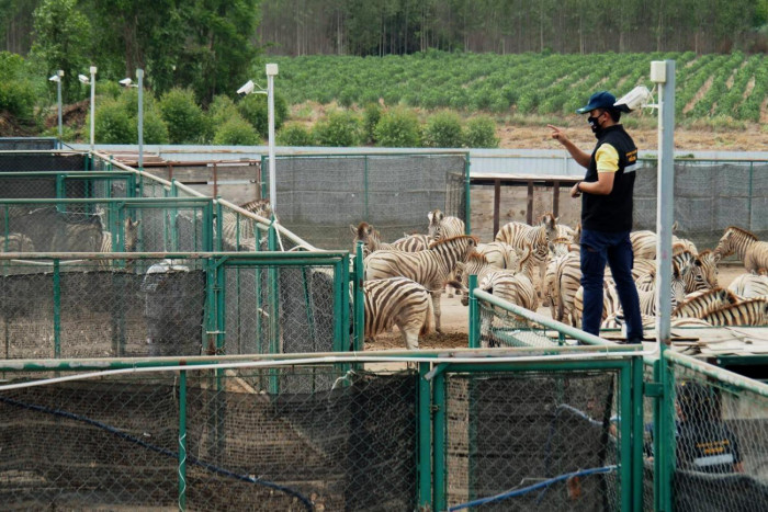 Horse owners mull action over deaths