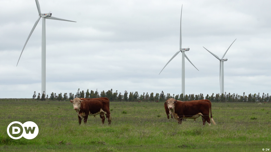 Uruguay leads green energy charge in Latin America