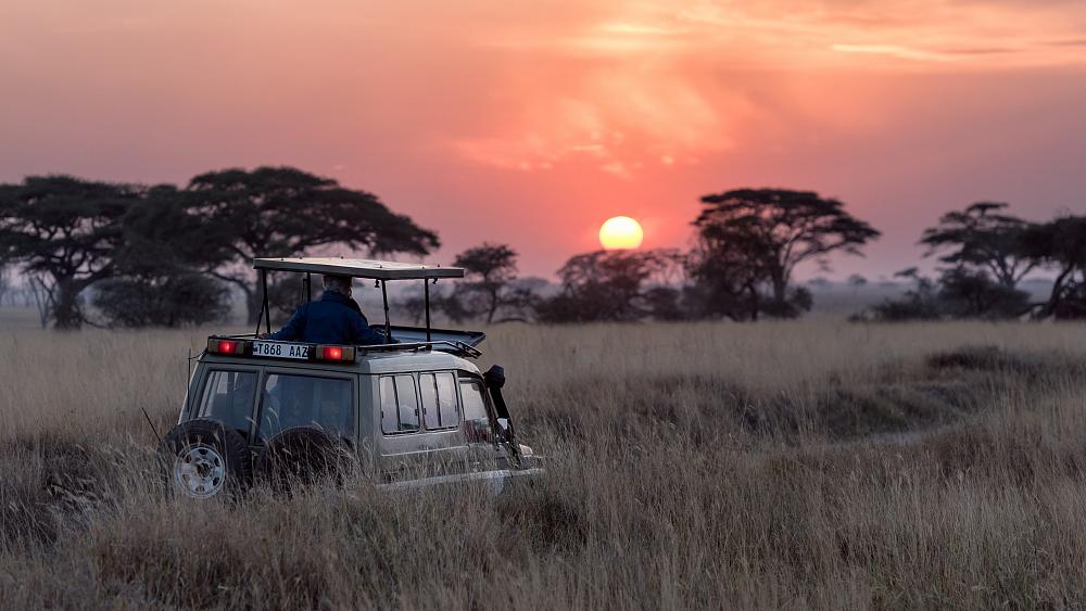 Four alternative safari destinations outside Africa for wildlife enthusiasts