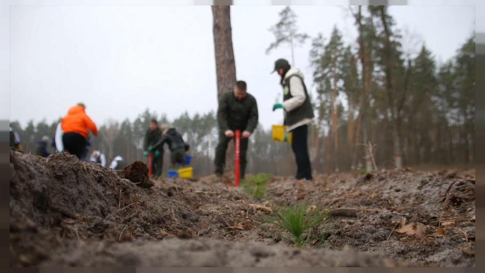 Ukraine and EU vow to plant three billion trees to fight climate change