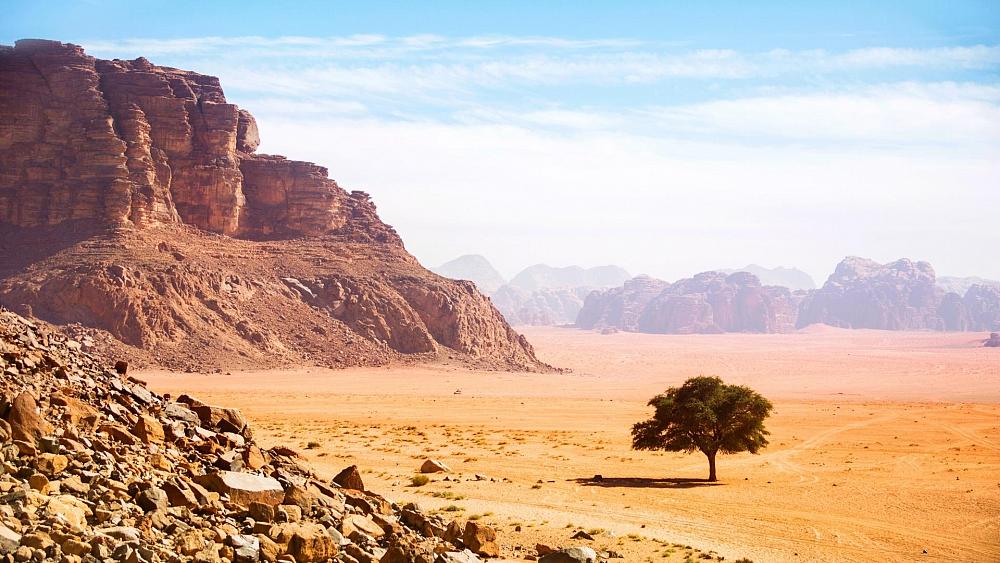 Jordan's water shortages are life threatening. Is tree planting the answer?
