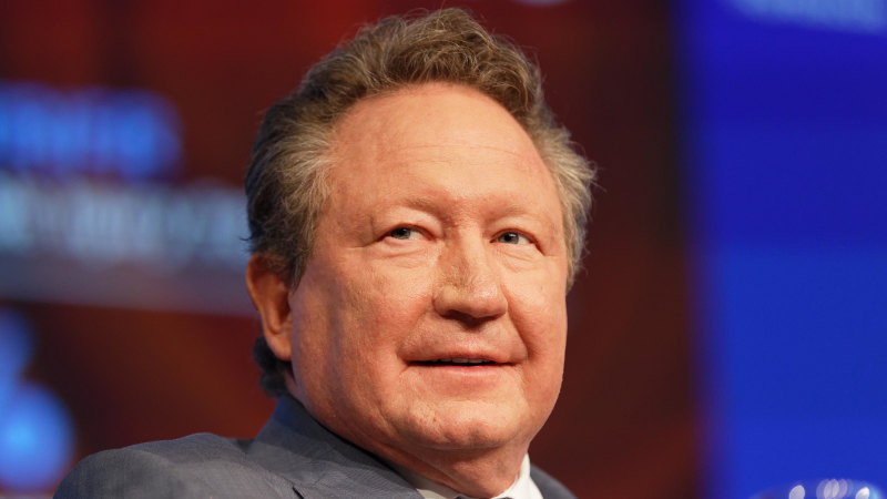 Andrew Forrest says fuel loads, not climate change, are primary cause of bushfires