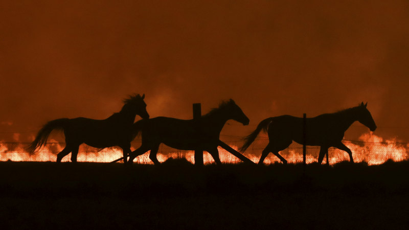 'Strong links' between worsening bushfires and climate change: experts