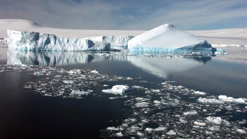 It's T-shirt weather in Antarctica as temperature records break