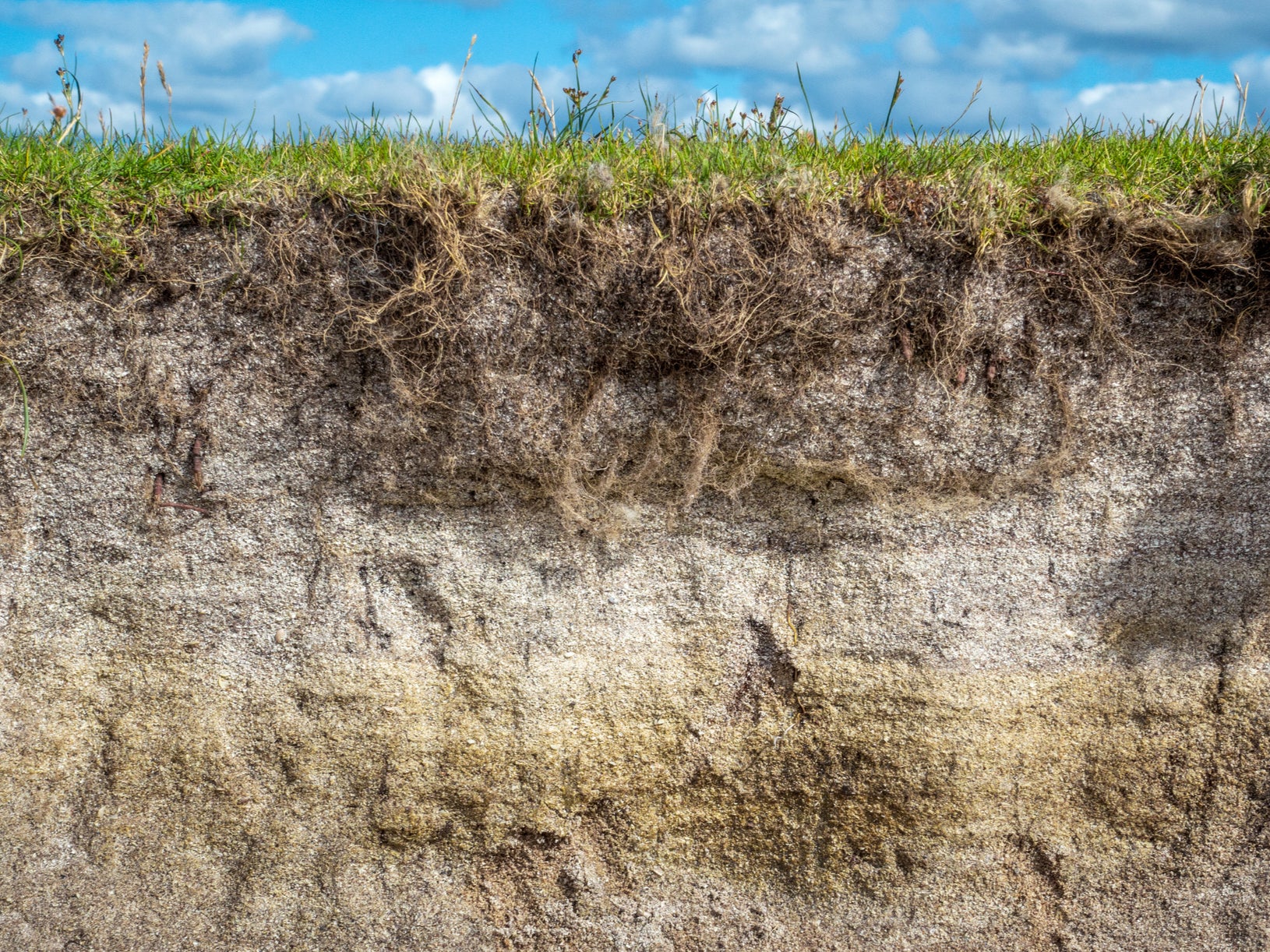 Climate crisis: Global temperature rise of 2C ‘would release billions of tonnes of soil carbon’