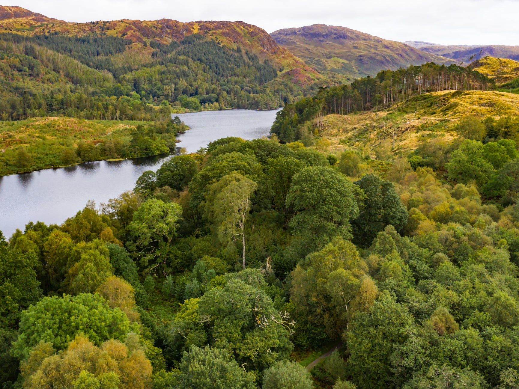 Climate crisis: Campaign for viewers to plant 750,000 trees launched by BBC’s Countryfile