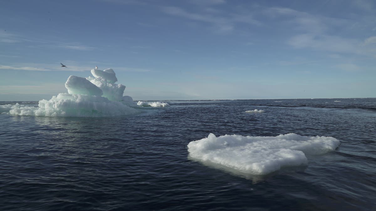 ‘Mindboggling’ Arctic heatwave breaks records