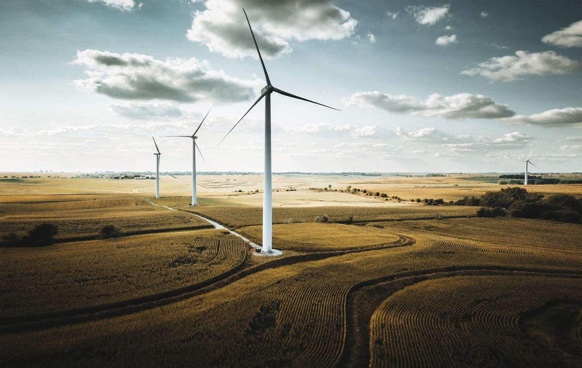 Wind energy production costs could be halved by 2050, survey suggests