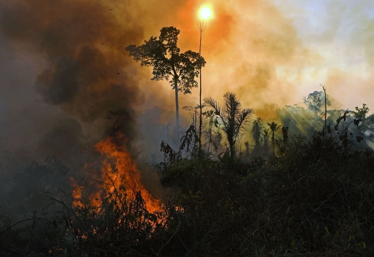 Brazil’s Amazon has ‘flipped’ and now emits more carbon pollution than it sinks