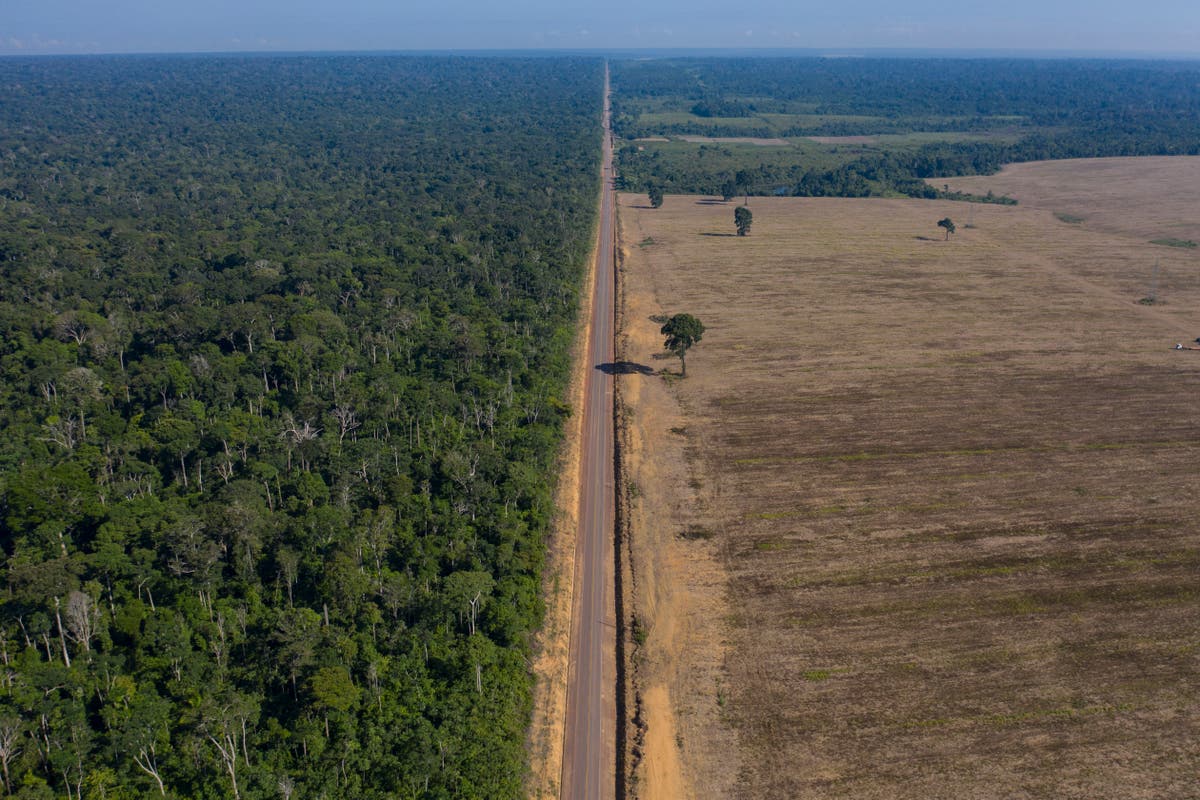 Brazil's Amazon deforestation surged in April after pledges