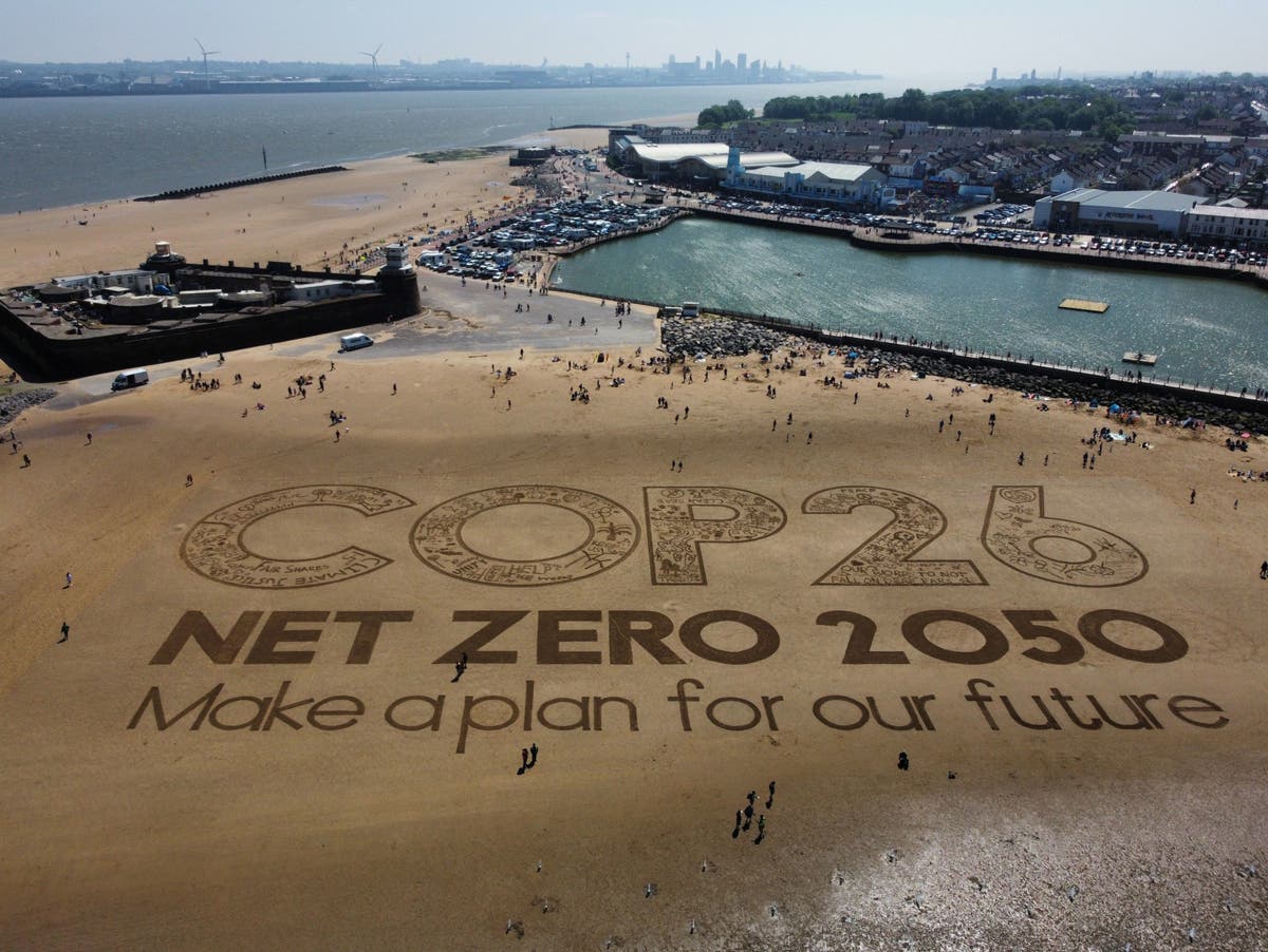 Companies must commit to net-zero emissions before bidding for government contracts