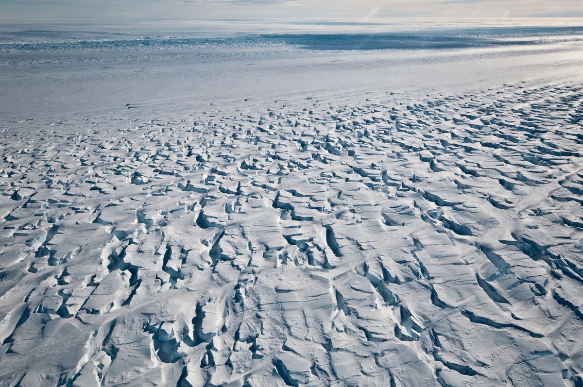 Antarctica hits record-high 18.3C temperature, UN confirms