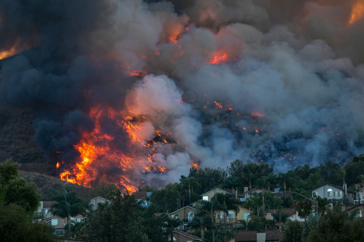 Ask The Independent’s Climate Correspondent anything about California’s climate emergency