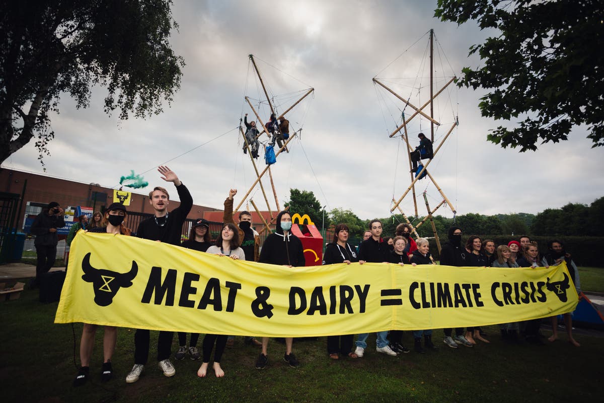 Animal Extinction protesters blockade McDonalds factory