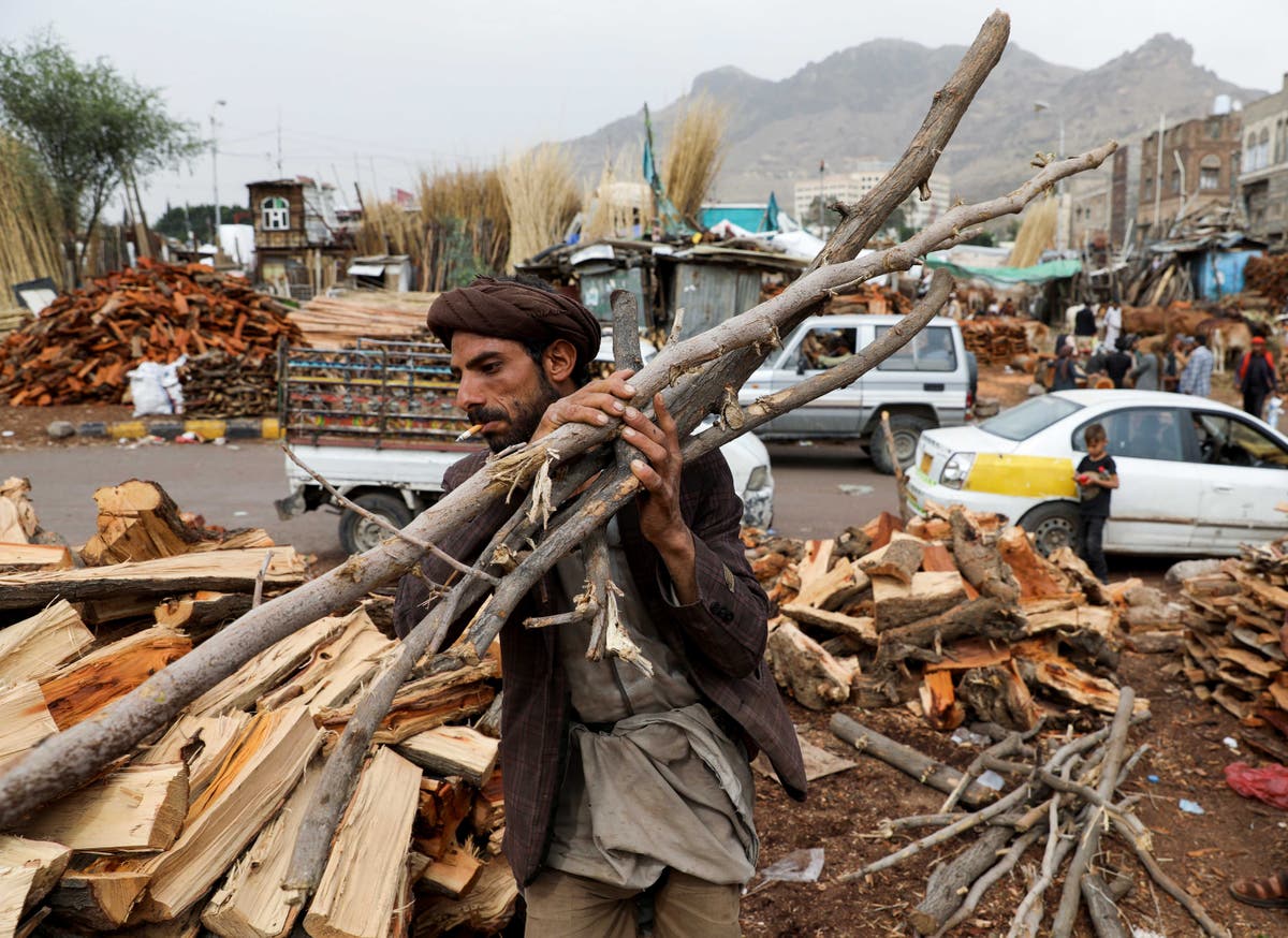 After war, deforestation is a further threat to Yemen