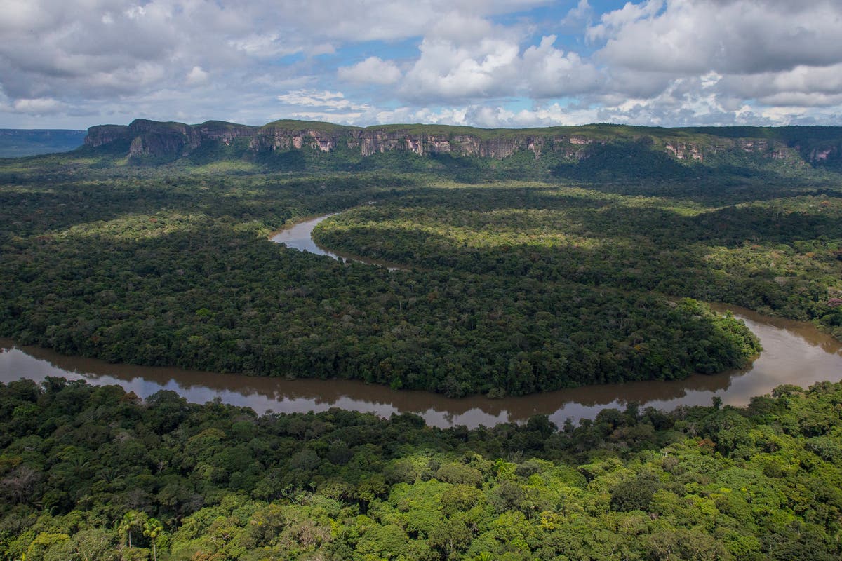 Colombia’s Amazon rainforest ‘has lost area size of Wales despite £250m from UK to limit deforestation’