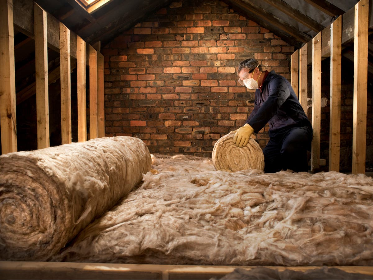 Insulation is ‘no regrets’ solution to the energy and climate crises, Boris Johnson told