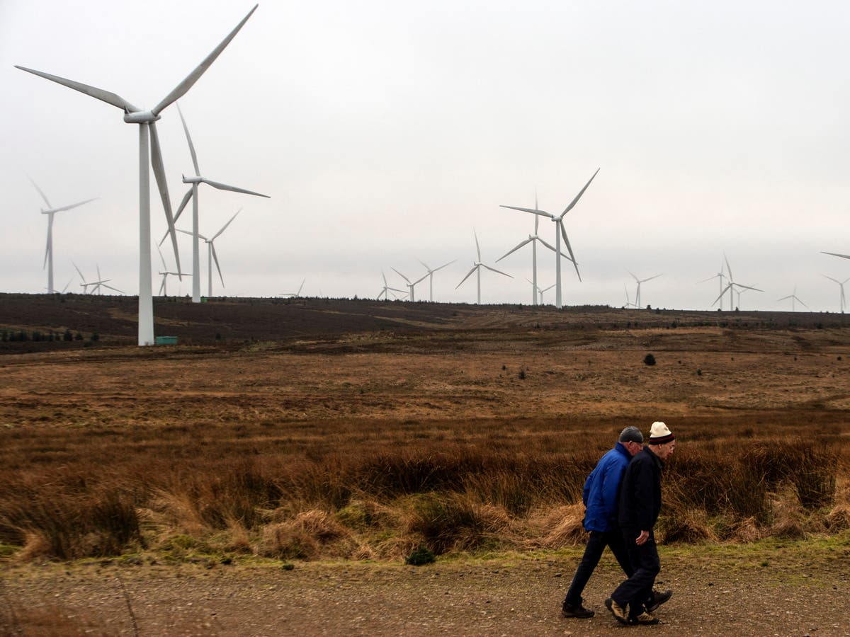Renewable energy ‘on track’ to deliver most of Britain’s electricity by end of decade, minister says