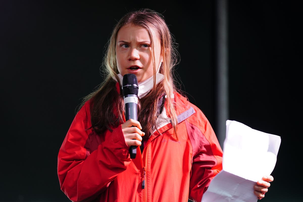 Greta Thunberg to publish new climate book telling ‘the unvarnished truth’