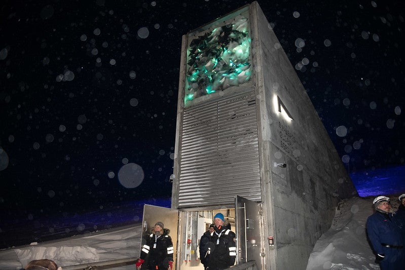 The 'Doomsday' seed vault protecting the world's crops amid catastrophes like coronavirus